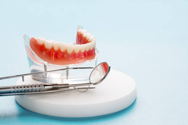 Best Dental Exams and Cleanings  in Pine Island, MN